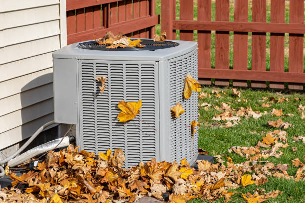 Best Local HVAC companies  in Erma, NJ